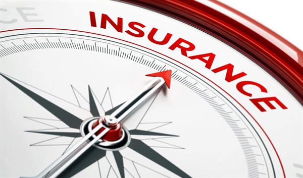 Insurance 101: Understanding Your TDIC Policy